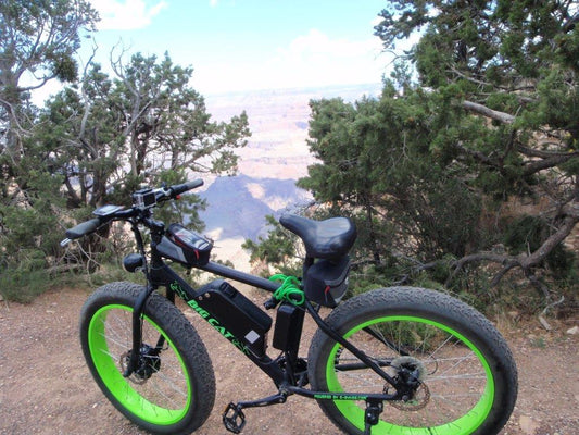 big cat fat cat xl 500w electric fat bike