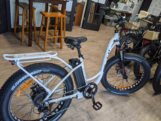 Why Electric Bikes are the Future of Senior Transportation - Don't Miss Out!