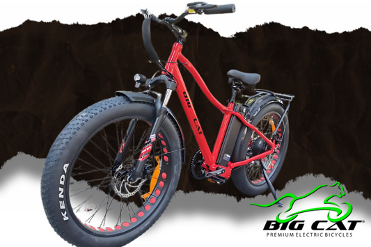 E-Bikes vs. Traditional Bikes: Why It’s Time to Make the Switch