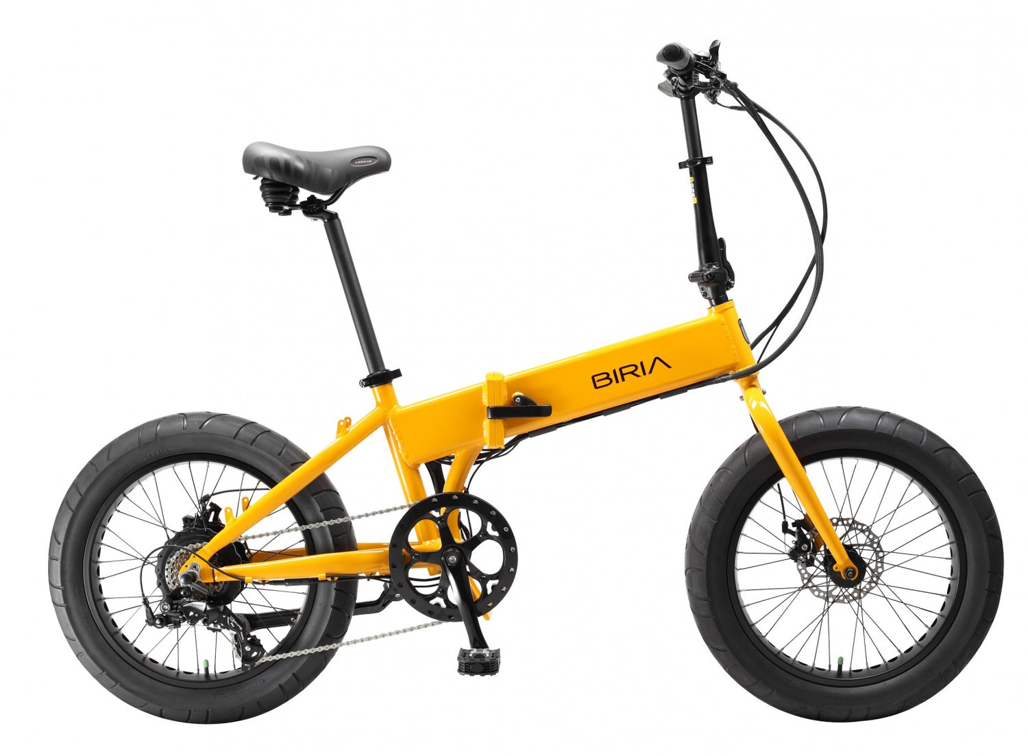 Electric Folding Bikes