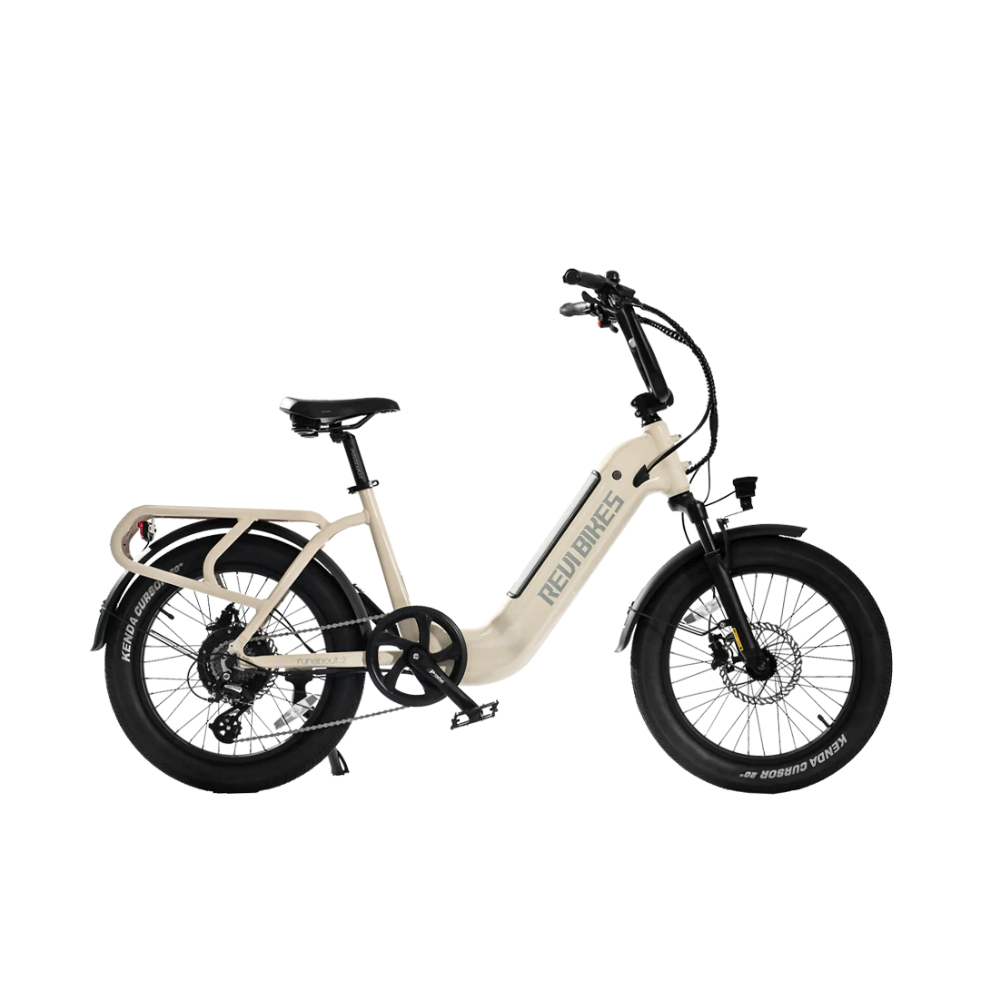 The Big Cat Revi Runabout 2 Electric Cargo Bike