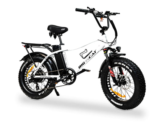 Big Cat 2025 Mini Fat Cat 750 on a white background