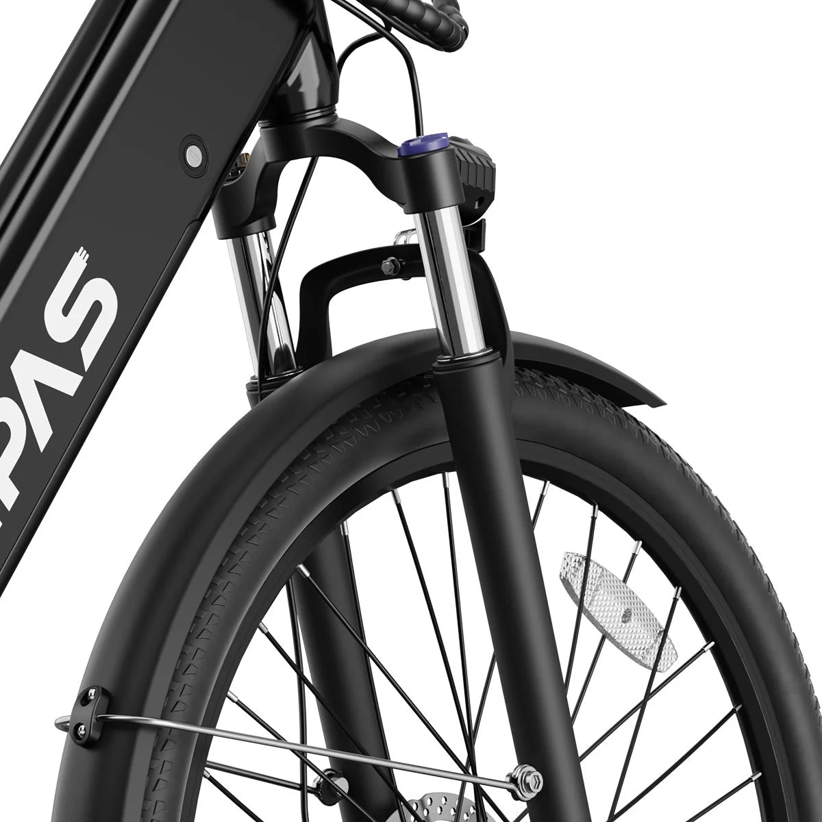 Big Cat C2 Xpress Ebike by Aipas®