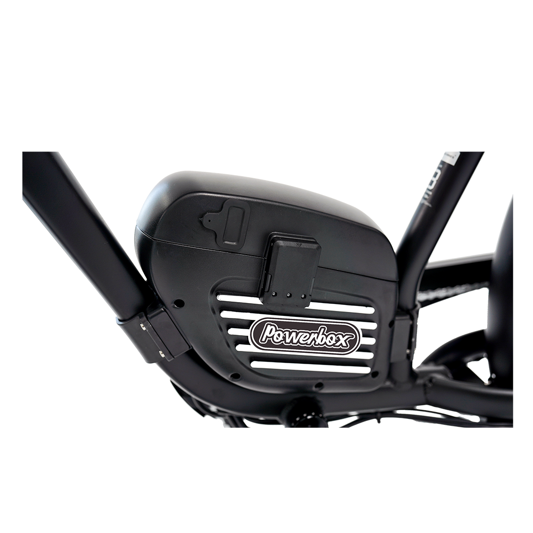 Big Cat Cheetah Pro by Revi®