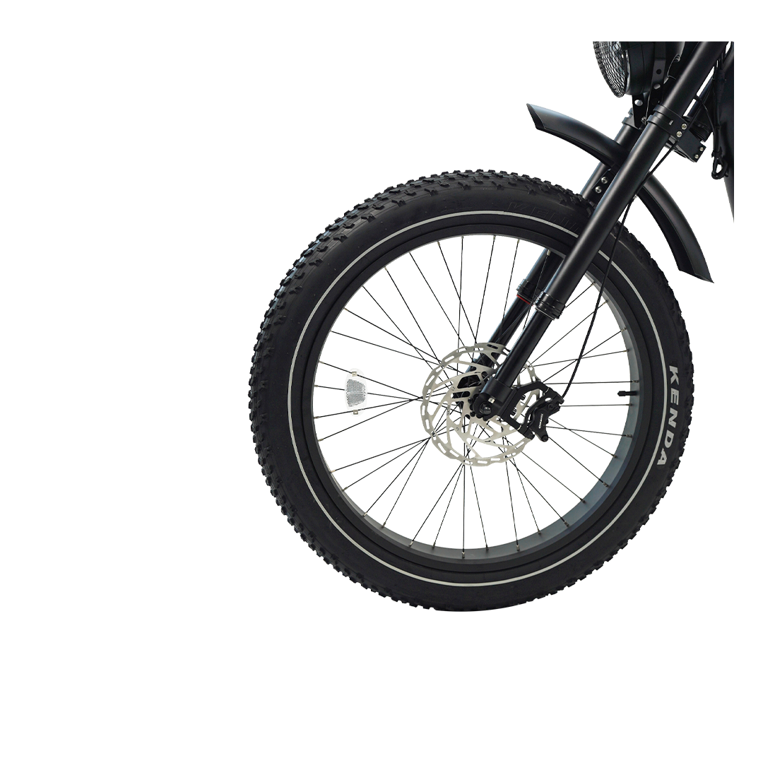 Big Cat Cheetah Pro by Revi®