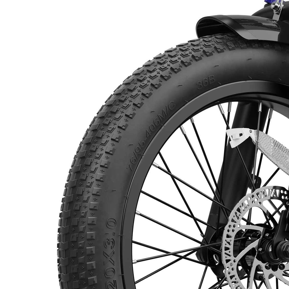 Big Cat F3 Adventurer Ebike by Aipas®