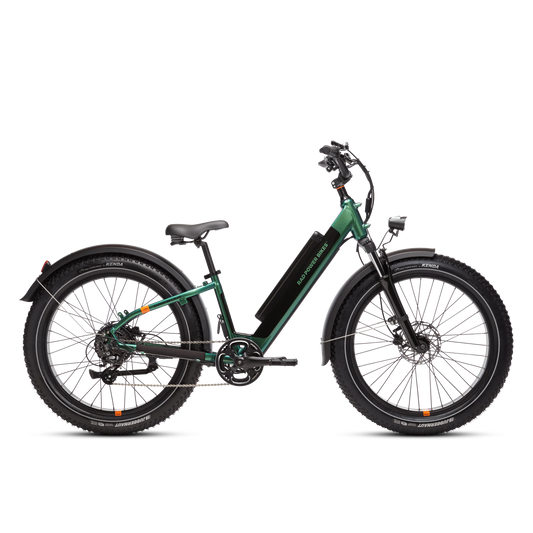 RadRover 6 Plus Electric Fat Tire Bike