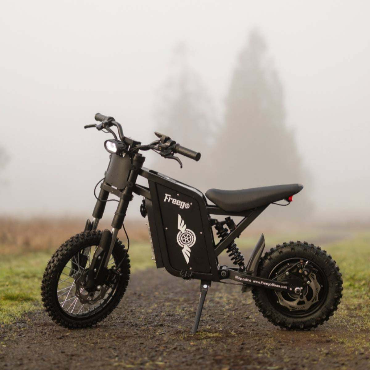 Full side view of the Freego X0 electric mini bike in an outdoor setting, highlighting the dual-crown front fork.