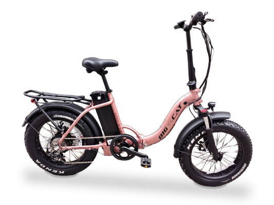 Big Cat 2025 Mini Long Beach Cruiser XXL 1000W on a white background