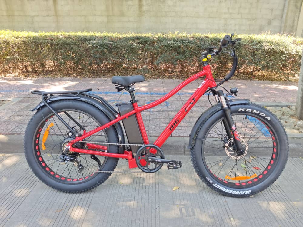 BIG CAT® 2024 Fat Cat 1000W Fat Tire Electric Bike