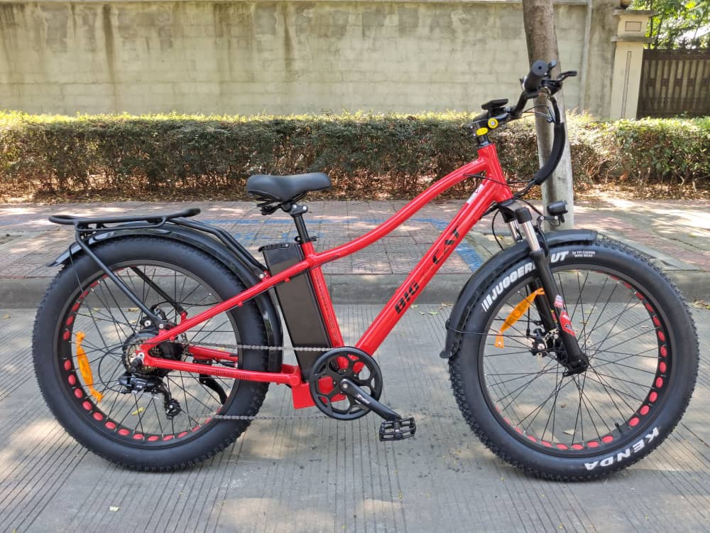 BIG CAT® 2024 Fat Cat 1000W Fat Tire Electric Bike