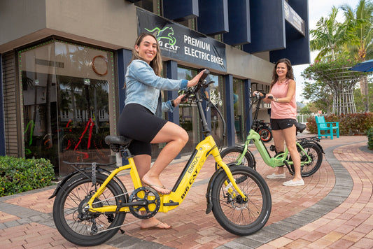 Big Cat 2023 BIRIA 500 Thin Tire - Folding Electric Bike