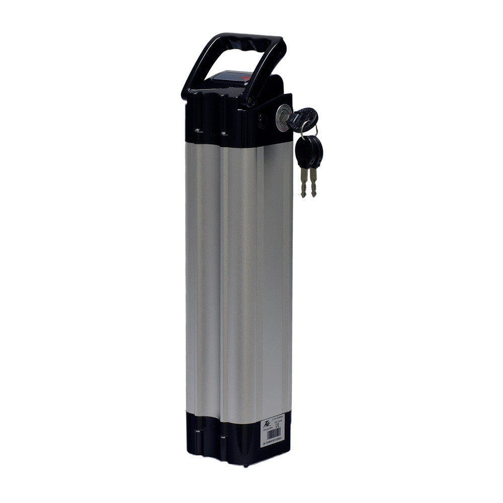 Big Cat 48V Charger (Silverfish) - - Electric Bikes