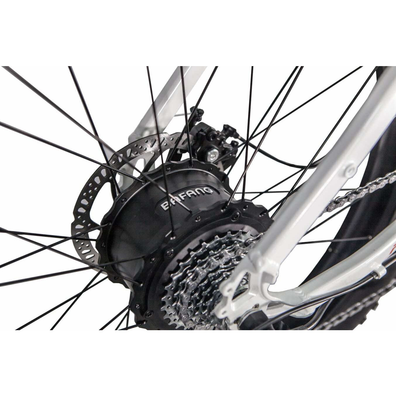 Big Cat 2023 Predator 500XL (Fat tire) (in Stock)