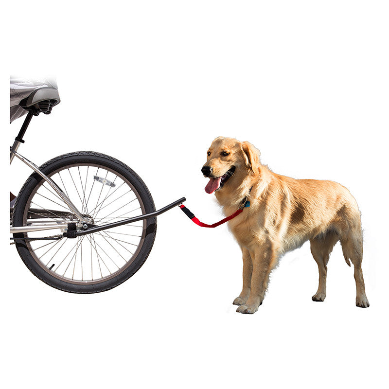Sunlite | Bicycle Dog Leash - - Accessories Big Cat Electric Bikes