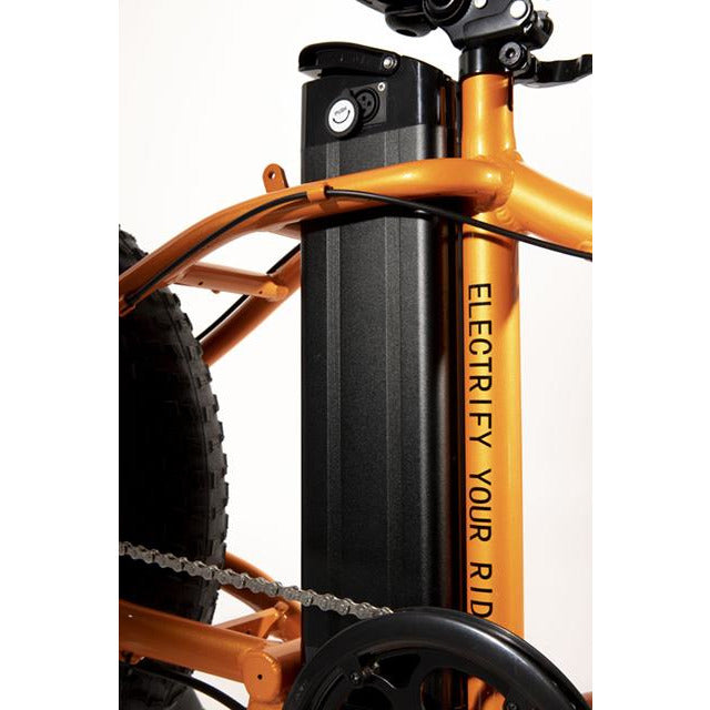 Big Cat 48V 13Ah- Lithium Ion Battery Pack (Silverfish) (Black Casing)