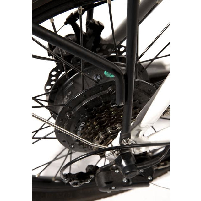 Big Cat 20” Hampton Electric Folding Bike, 500W Electric bike, eBike