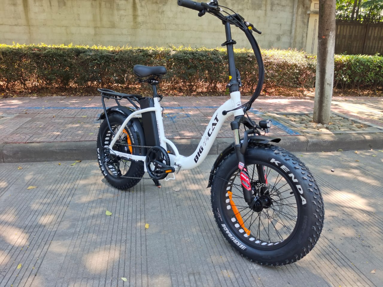 Big Cat 2024 Mini Long Beach Cruiser XXL 750 (Fat Tire) Premium Electric Bike (May ETA)