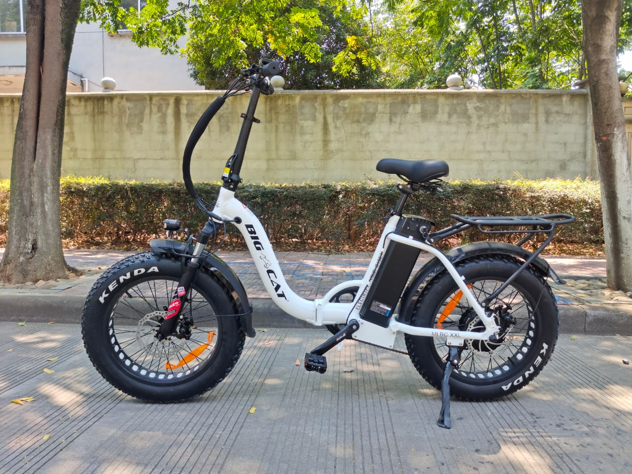 Big Cat 2024 Mini Long Beach Cruiser XXL 750 (Fat Tire) Premium Electric Bike (May ETA)