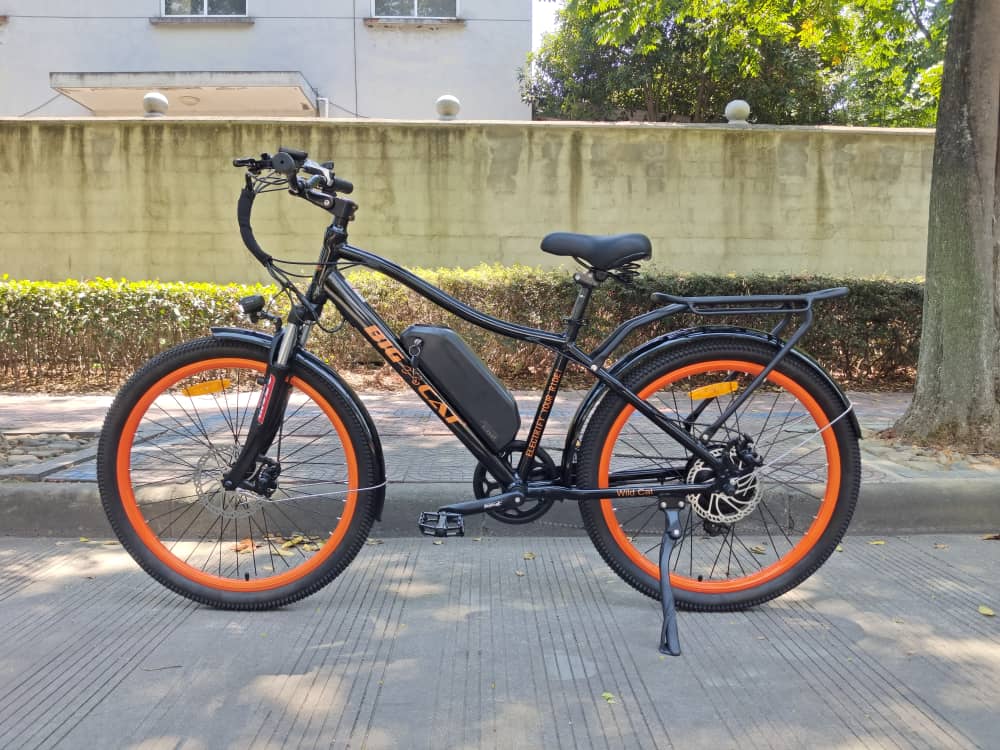 Big Cat Electric Bikes